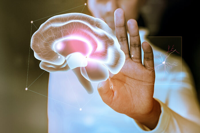 Fondo-de-Estudio-del-Cerebro