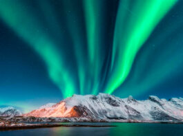 NTT DATA propone soluciones para impacto ambiental de la IA